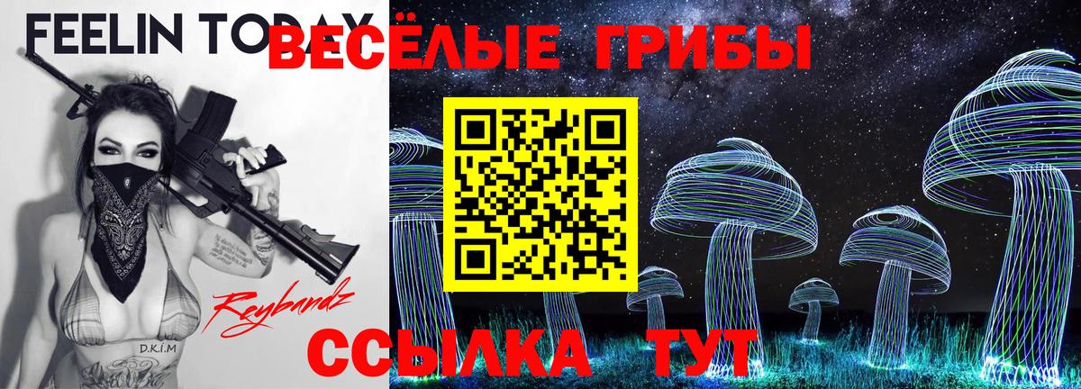 Галлюциногенные грибы мухоморы Добрянка