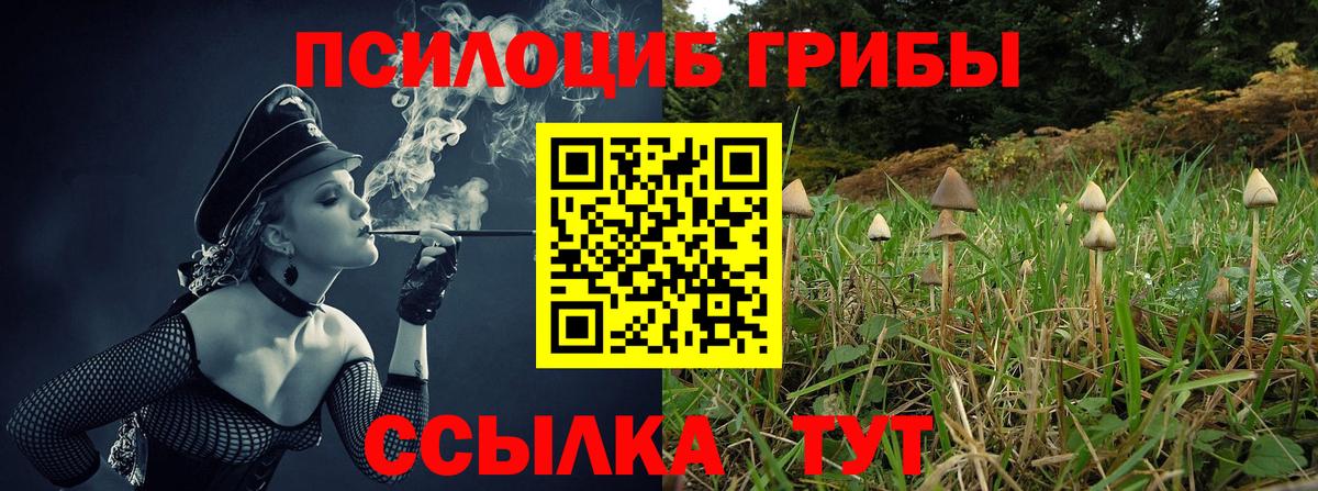 Добрянка  Галлюциногенные грибы прущие грибы  Псилоцибиновые грибы прущие грибы  Вход с VPN 